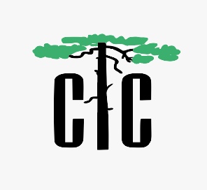 Company Logo 1